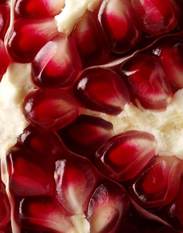 Pomegranate Extract