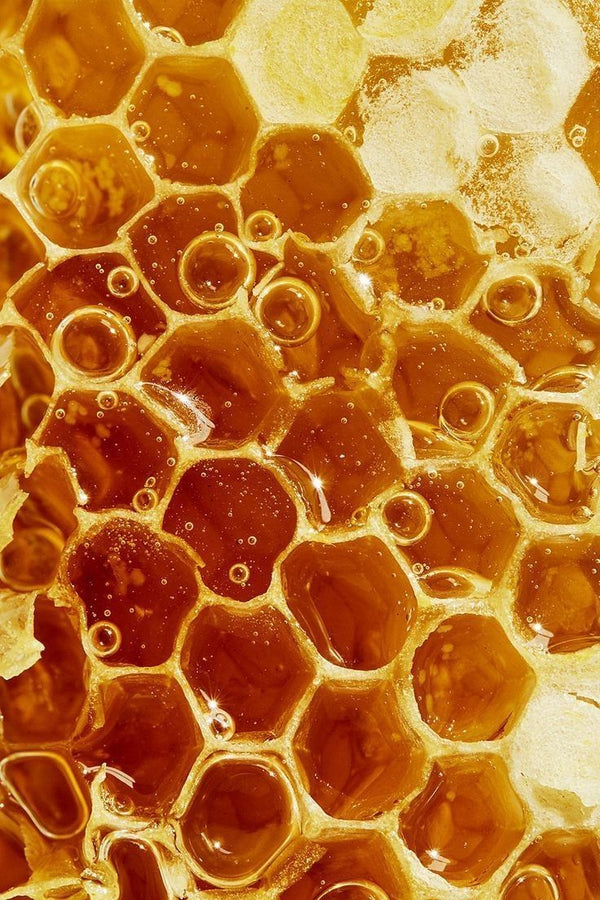 Honey Extracts