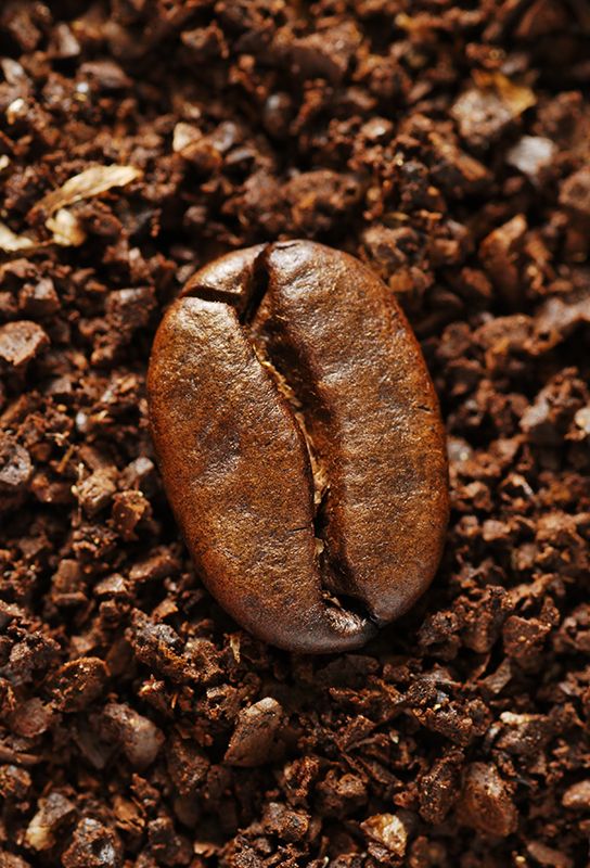 Coffee Extarcts